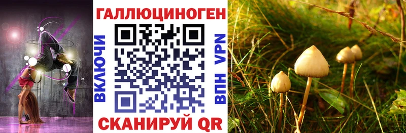 Галлюциногенные грибы GOLDEN TEACHER  Циолковский 